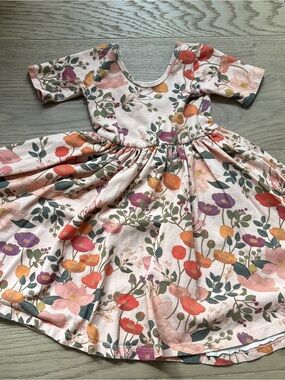 Alice and Ames dress 4T